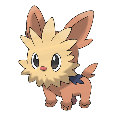 Lillipup